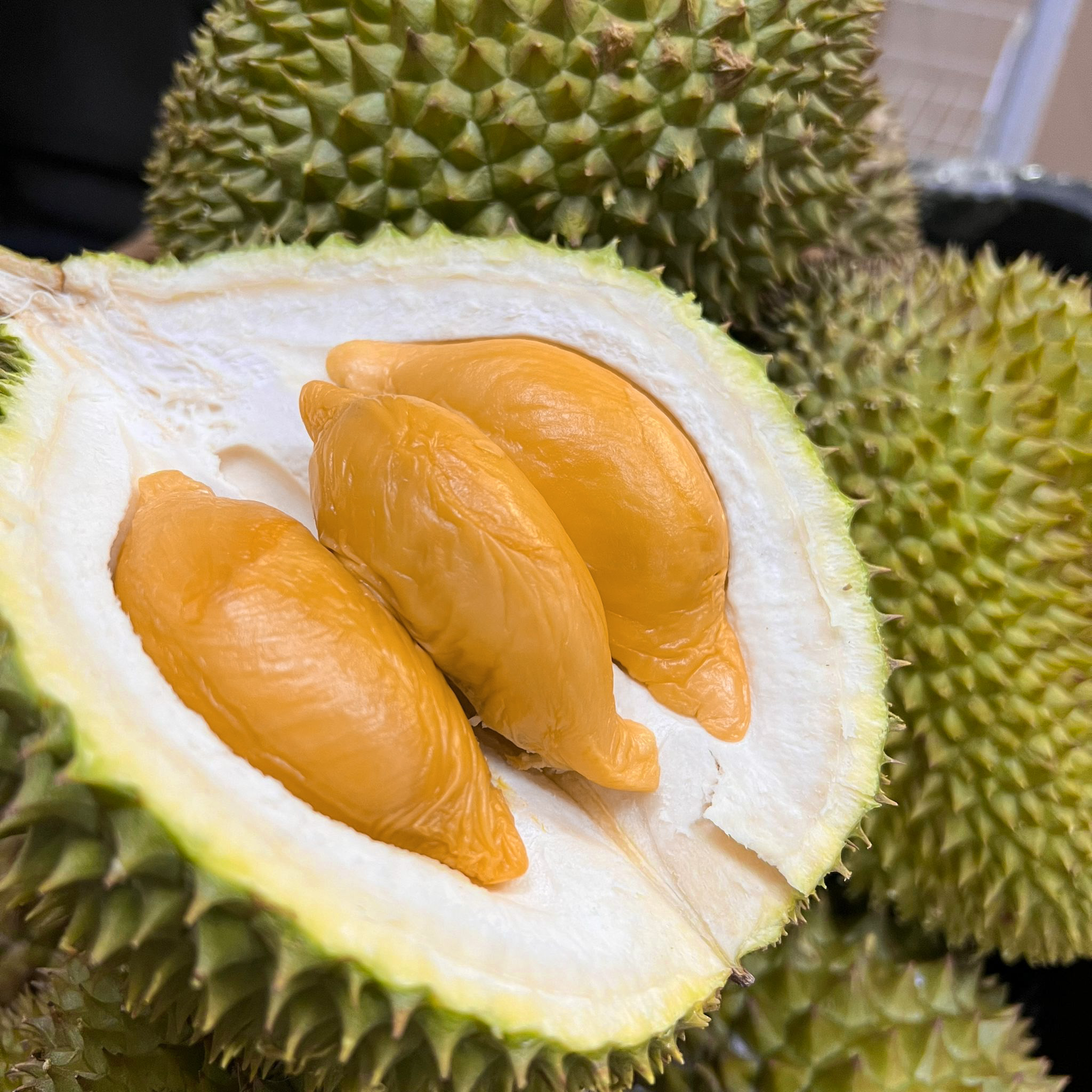 Alternative view of 🔥 BUNDLE: D13 Red Prawn (2 x 800g)