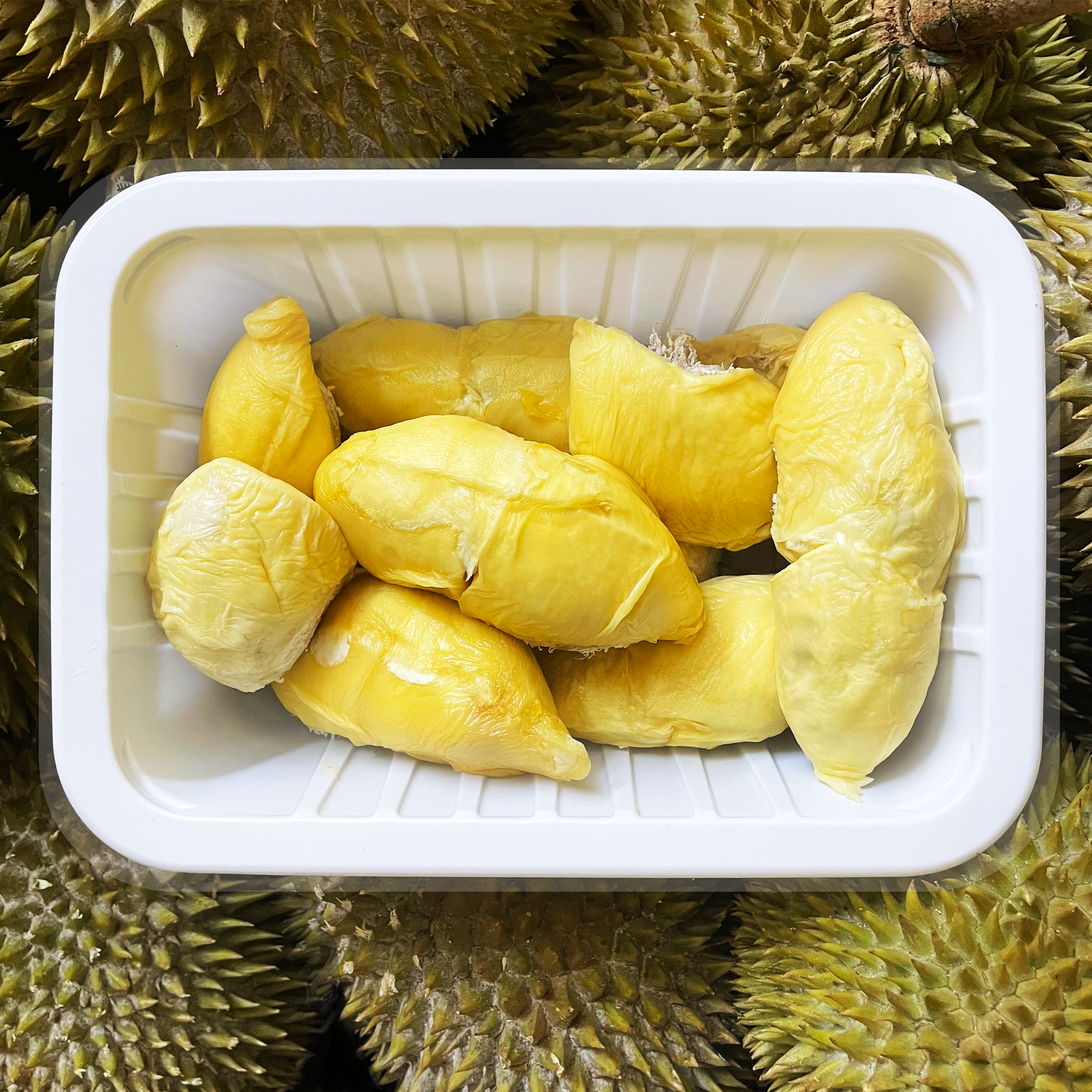 ⏰ BUNDLE: Freshly Frozen D24 Durians (2 x 800g)